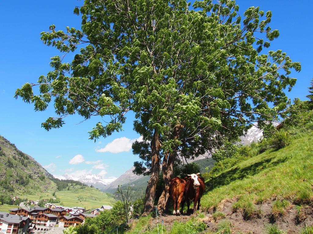 شقة Locations Berne Milesi لانسليفلارد المظهر الخارجي الصورة