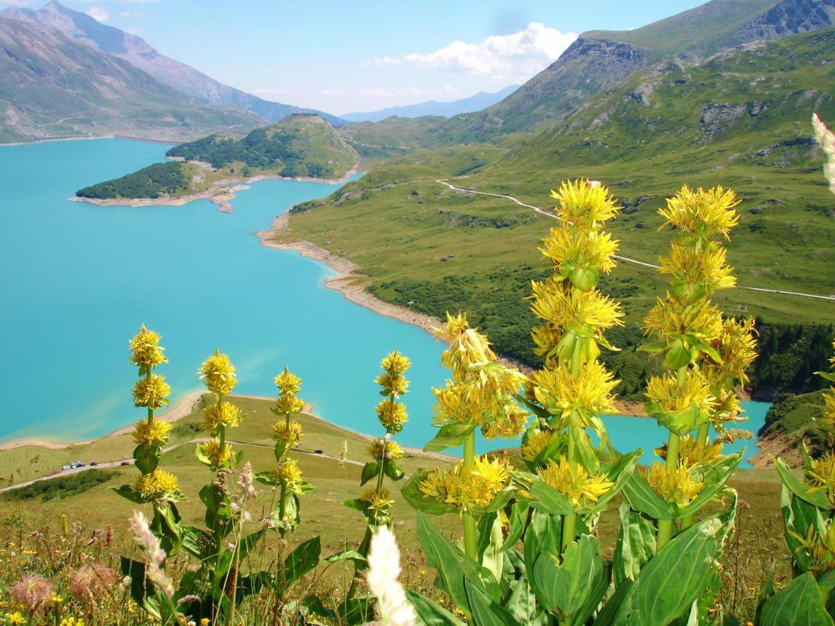 شقة Locations Berne Milesi لانسليفلارد المظهر الخارجي الصورة