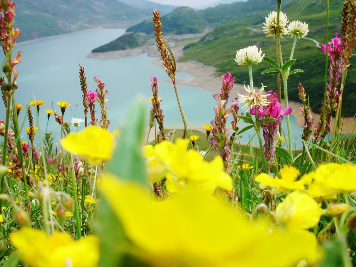 شقة Locations Berne Milesi لانسليفلارد المظهر الخارجي الصورة